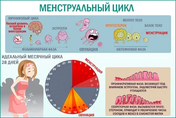 Как задержать месячные на несколько дней. Таблетки, народные средства