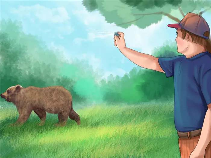 Как вести себя при встрече с медведем и волком