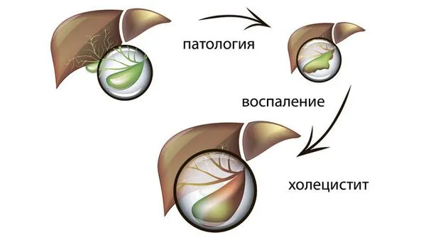 Питание 8/16 для похудения. Что это такое, меню на каждый день, отзывы и результаты