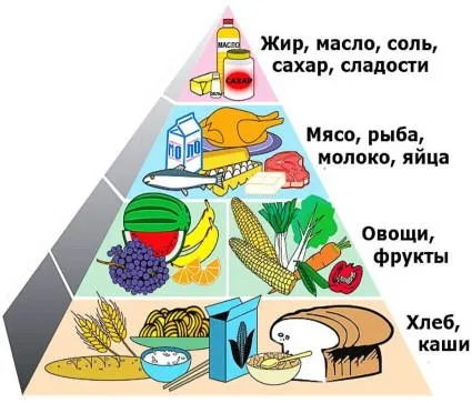 Продукты из всех пищевых групп, список