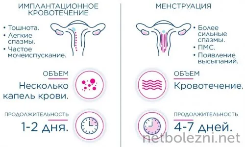 Сравнение с менструацией