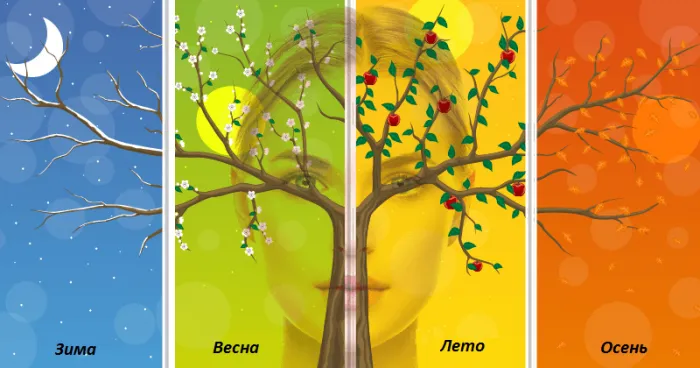 Схематическое изображение времён года в виде дерева на разном фоне, позади него размытое изображение женского лица