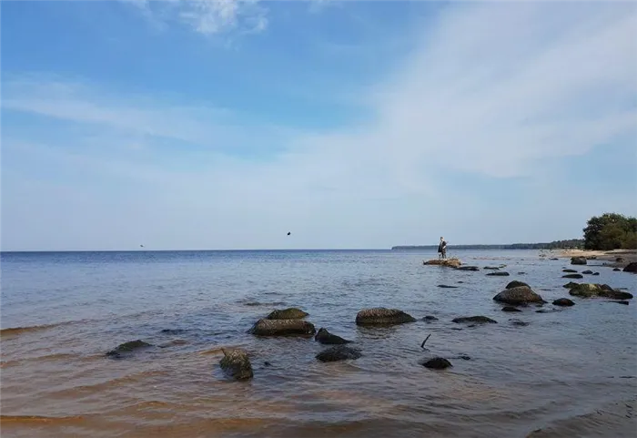 Водохранилище Рыбинск Волга где отдохнуть