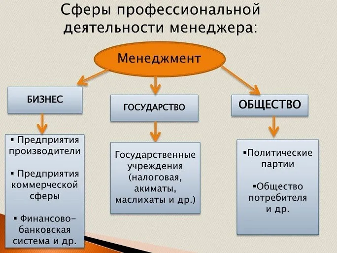 Сферы профессиональной деятельности