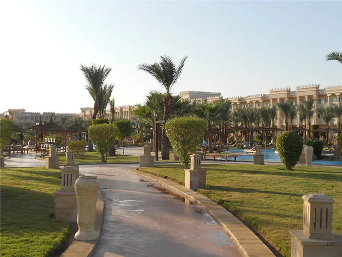 египет, цены, отдых, отпуск, отель, пальмы