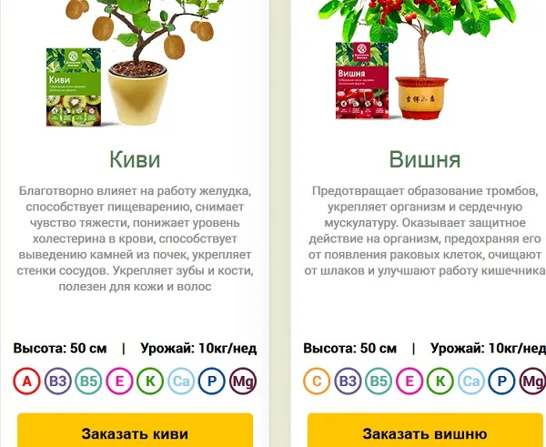 ecodar и фирма фруктовые деревья предлагают урожай до 10 килограмм в неделю