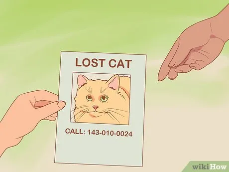 Изображение с названием Find a Lost Cat Step 27