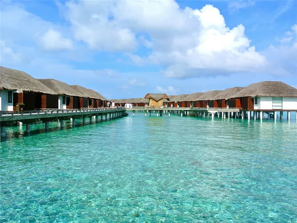 Мальдивы или Сейшелы: что вам подойдет больше?